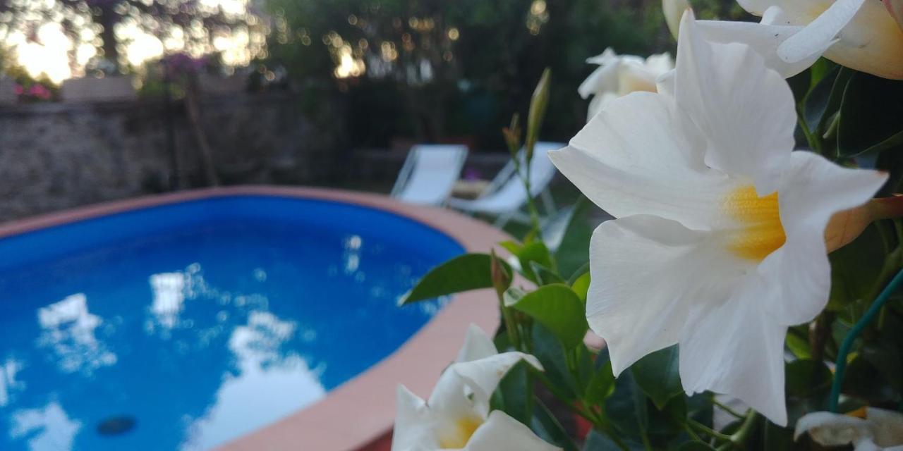 Villa Drina Ischia Bagian luar foto